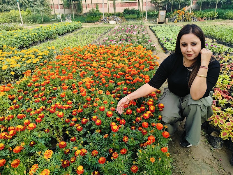 Bhagat Seeds Trading - Agricultural Seed Store in All Cities