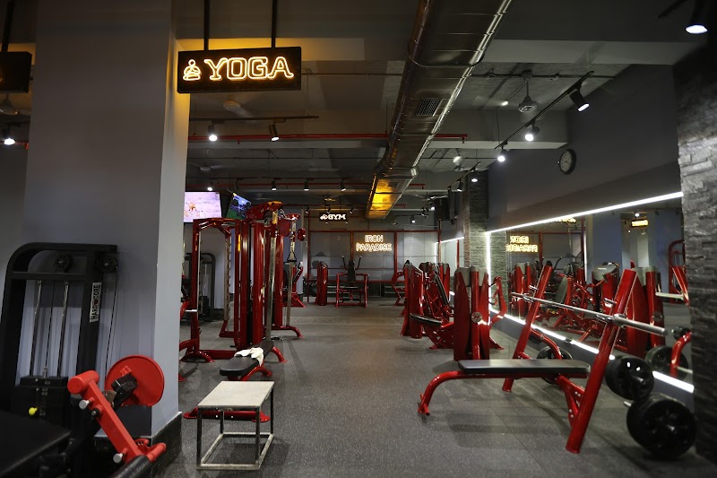 Iron Paradise: Best - Gym in Mumbai