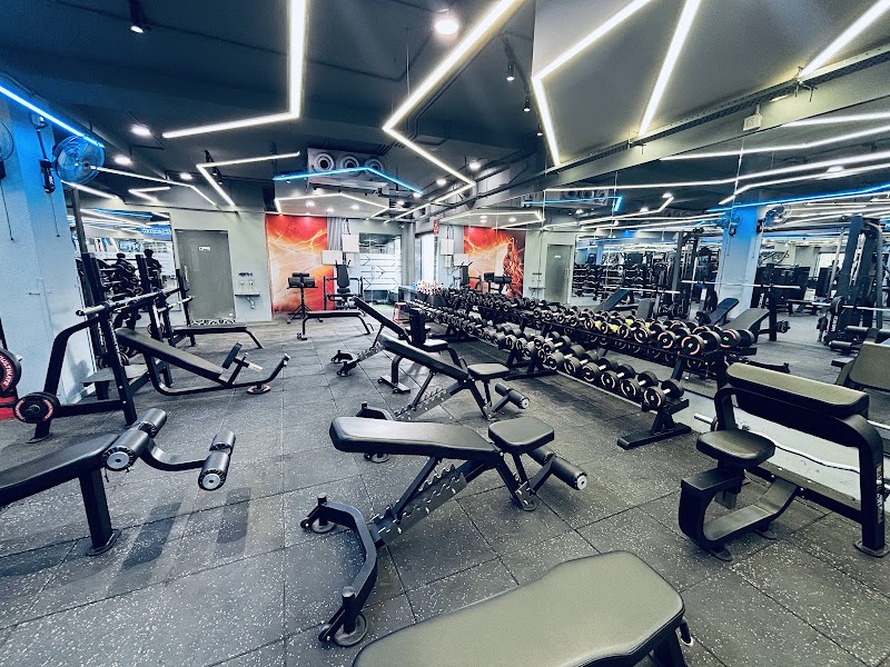 Pro Ultimate Gyms - Gym in Delhi