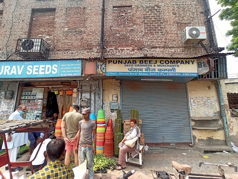 Punjab Beej Company - Agricultural Seed Store in Delhi