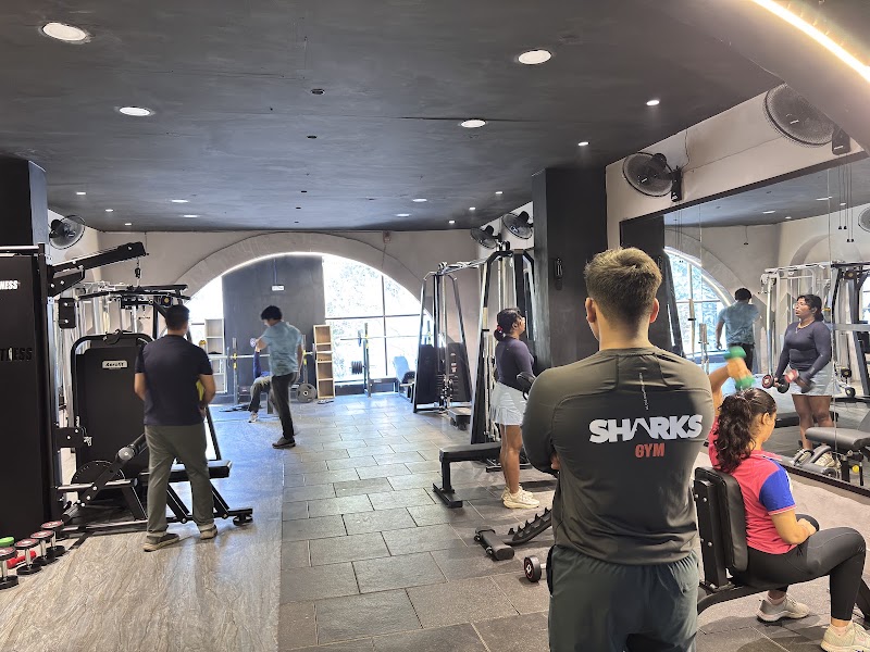 Sharks Gym - Gym in Delhi