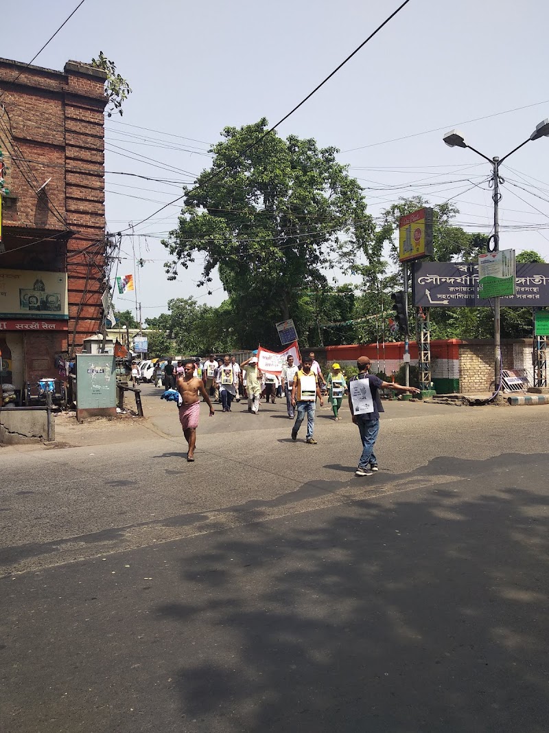 Shree Cement Limited