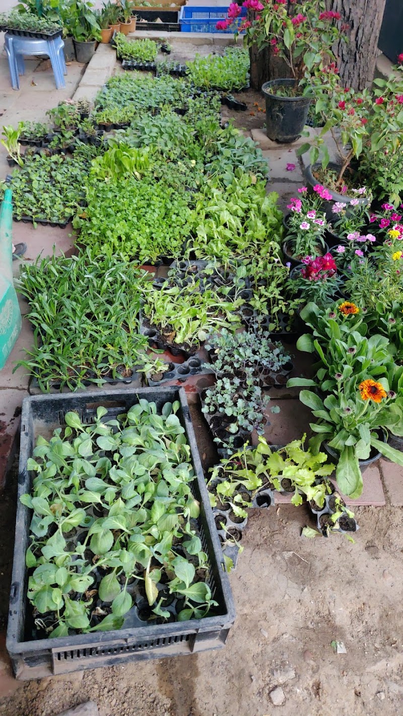 The Garden Hut - Agricultural Seed Store in Delhi