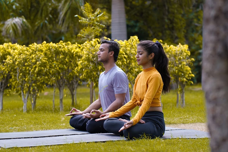 Yogic Panacea Studio - Yoga Center in Delhi